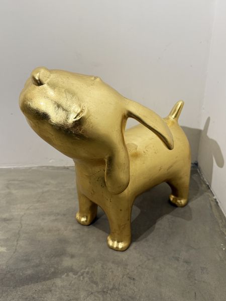 陳煜權-小金旺