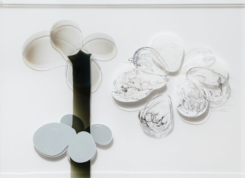 陳代如-花序000 Inflorescence 000