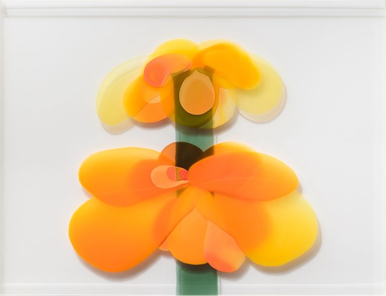 陳代如-花序005 Inflorescence 004