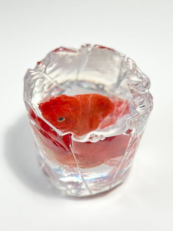 藝術家：河﨑海斗　　標題：紅蘭壽金魚　     尺寸：Ｈ：11 * 11 * 11 cm  　材質：銅、銀、金工樹脂　　年代：2025