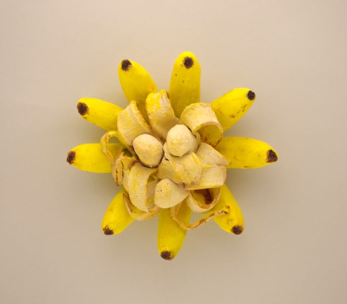 Kouji kasatani-Banana Flower-2