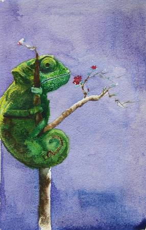 朱珮銀-Chameleonic chameleons