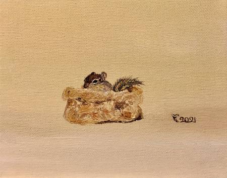 楊千慧-袋中花栗鼠2