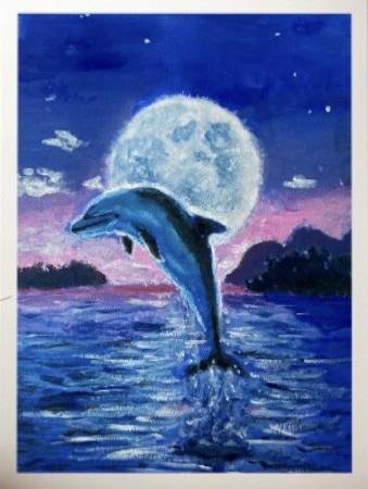 布魯克-月下海豚