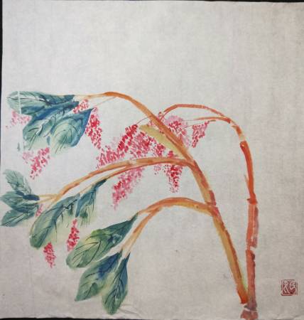 尤景正-紅蓼 紅蓼