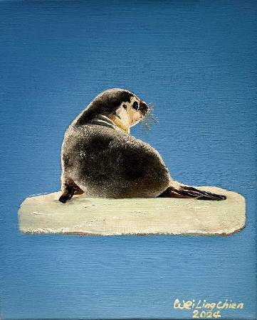 簡瑋伶-嗨！慢一點Baby seal  - 世界顛沛流離，你一定要找到自己