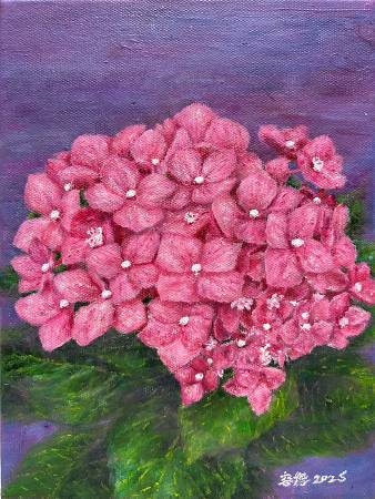 林容德-粉紫色繡球花Pink and purple hydrangea