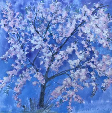 葛拉娜-Blue Sakura