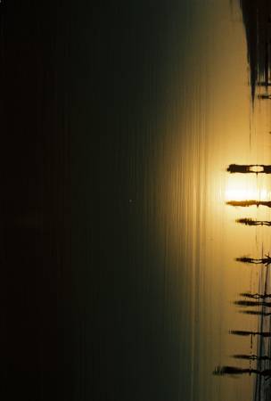余俊璋-Nature and Human -- the light