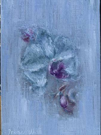 Irene W-蘭花 Orchid