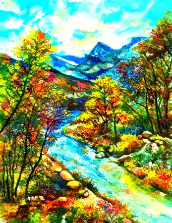 吳順良-美麗山林