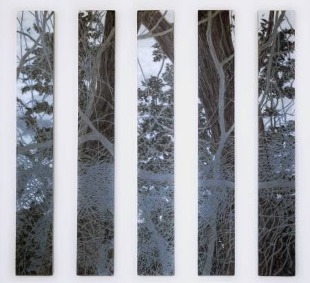 楊承諺-龐大的凝視