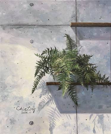 吳家綾-兔腳蕨 Rabbit's Foot Fern
