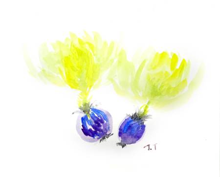 小樹茉莉-長生草