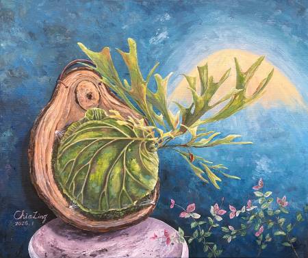 吳家綾-初雪 • 蕨語 Whisper of Pink and Green