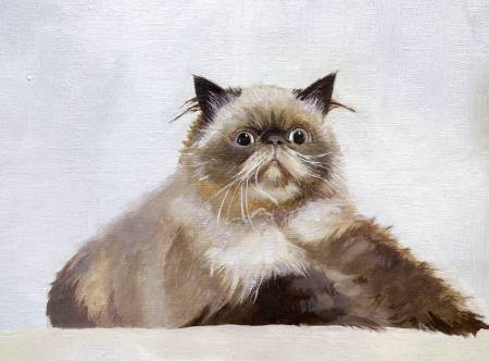 王允營-咪咪冒冒