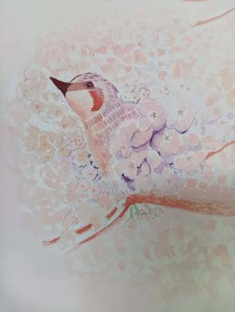 沈英英-鳥語花香