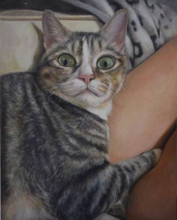 陳丹-過敏原系列-過敏原二號