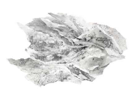 陳偉斌-work S: Earthquake  (數位版畫)