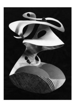 陳偉斌-Madam  (數位版畫)