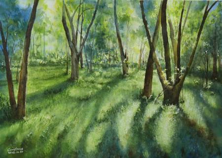 鍾翠雲-樹林裏的晨光