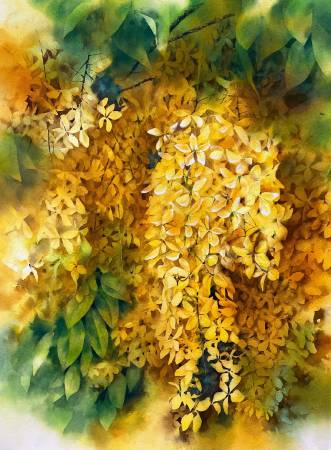 江祐維-黃金雨瀑