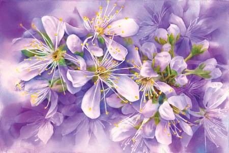 江祐維-春櫻絮語