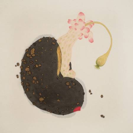 陳姿妤-瘤豆芽 / Tumor Bean Sprout