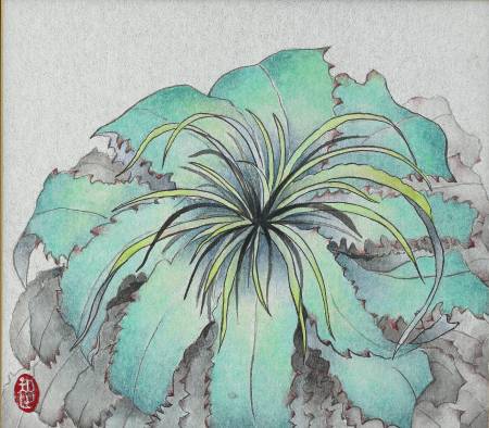 劉詩萍-銀葉鳳梨