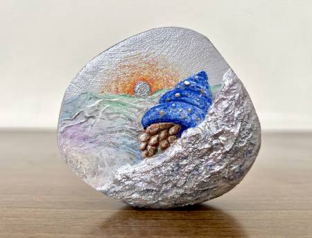 蘇靖雯-背著殼旅行的寄居蟹