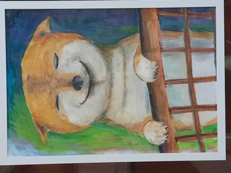 楊庭昱-舒爽的柴柴