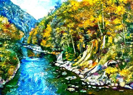 吳順良-美麗峽谷風景