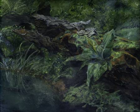 賴敬豪-森林-新生