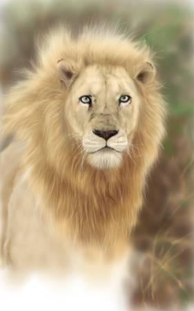 方可成-王者之眼—無畏的靈魂