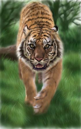 方可成-覺醒之王—叢林的主宰