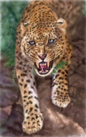 方可成-狂野之魂—叢林的掠奪者