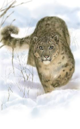 方可成-雪地裡的凝視