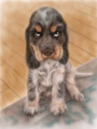 方可成-家的守望者