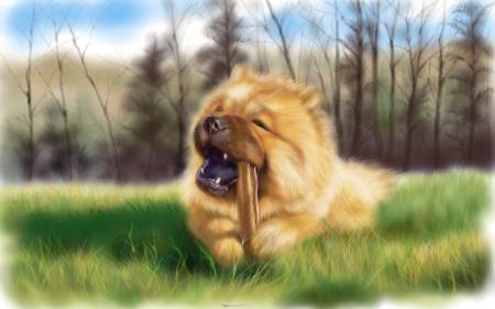 方可成-悠閒時光