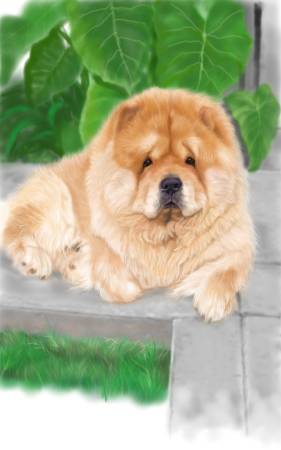 方可成-忠誠的陪伴