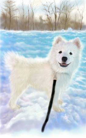 方可成-微笑的瞬間