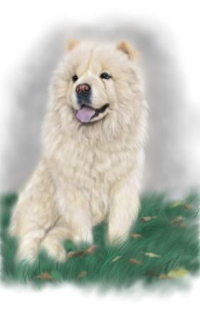 方可成-童年的夥伴