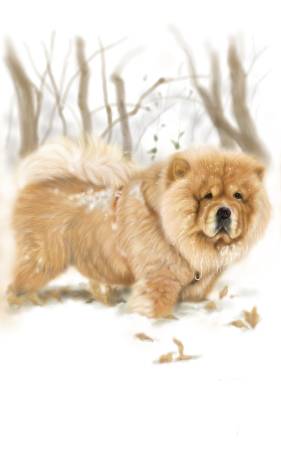 方可成-冬日守護者