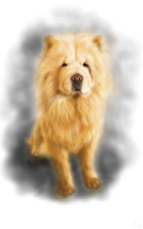 方可成-冬日的暖陽