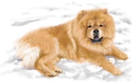 方可成-雪地之王