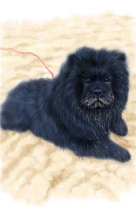 方可成-黑曜騎士