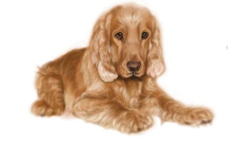 方可成-金色優雅