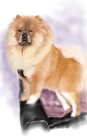 方可成-王者之姿