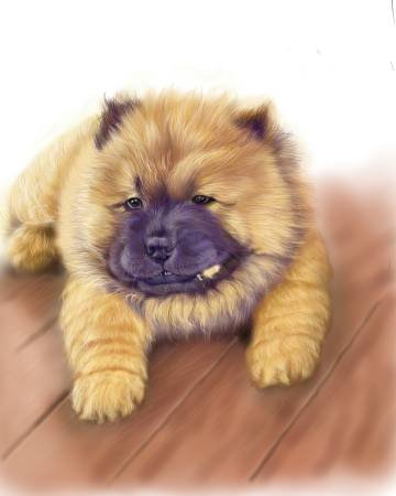 方可成-溫柔守護者