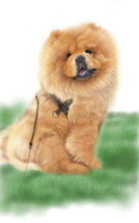 方可成-貴族的等待